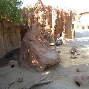 Radiated Tortoise/Meerkat Exhibit