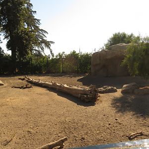 Warthog Exhibit