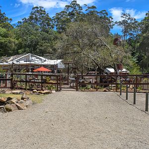 New - Outback Springs - Entrance