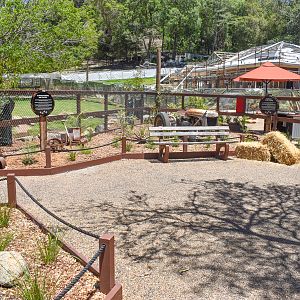 New - Outback Springs - Entrance