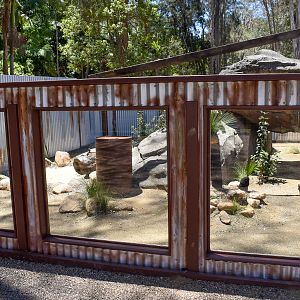 New - Outback Springs - Perentie Enclosure