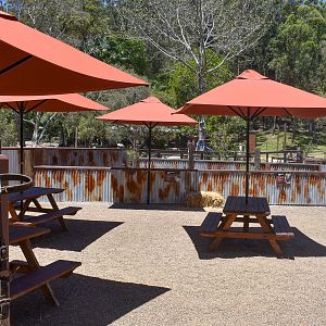 New - Outback Springs - Shingleback/Cunningham's Skink Enclosure