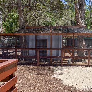 New - Outback Springs - Chicken Area