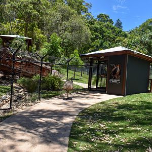 New Rock-Wallaby Walkthrough Enclosure