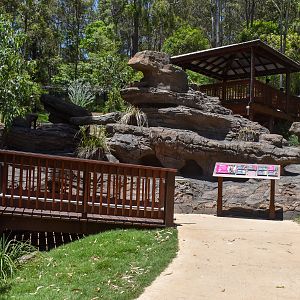 New Rock-Wallaby Walkthrough Enclosure