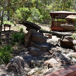 New Rock-Wallaby Walkthrough Enclosure