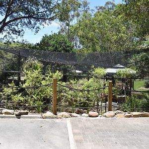 New Black-necked Stork/Grey-headed Flying Fox Aviary