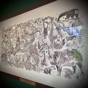 "A World With Wildlife is a Better World"