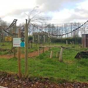 Ring-tailed lemur & Helmeted guineafowl enclosure