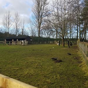 Alpaca Enclosure