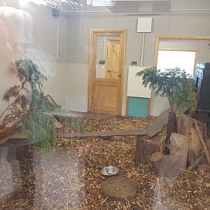African Civet Indoor Enclosure