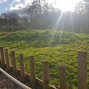 Sulcata Outdoor Enclosure