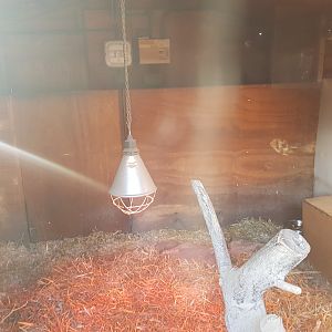 Meerkat Indoor Enclosure