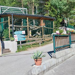 Der Weisser Zoo & Kameltheater Kernhof - Black and white ruffed lemur enclosure