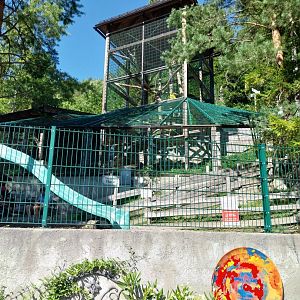 Der Weisser Zoo & Kameltheater Kernhof - Clouded leopard enclosure