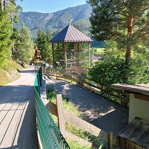 Der Weisser Zoo & Kameltheater Kernhof - Clouded leopard enclosure