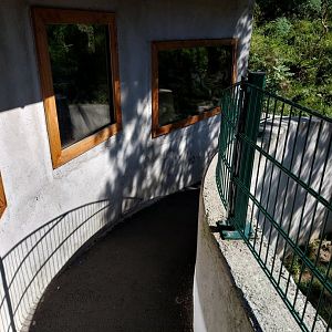 Der Weisser Zoo & Kameltheater Kernhof - Very narrow visitor path jaguarundi enclosure