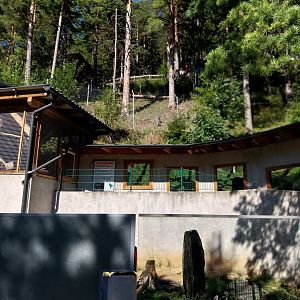 Der Weisser Zoo & Kameltheater Kernhof - Giant anteater (foreground) and jaguarundi (background) enclosure
