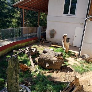 Der Weisser Zoo & Kameltheater Kernhof - Tiny giant anteater enclosure