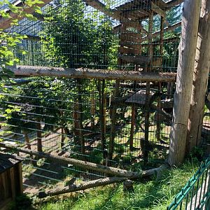 Der Weisser Zoo & Kameltheater Kernhof - North Chinese leopard enclosure