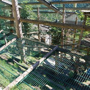 Der Weisser Zoo & Kameltheater Kernhof - North Chinese leopard enclosure