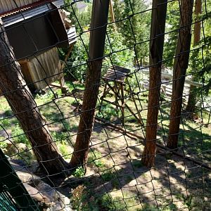 Der Weisser Zoo & Kameltheater Kernhof - Serval enclosure