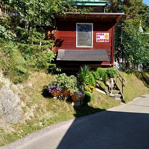Der Weisser Zoo & Kameltheater Kernhof - Der Republik der Affen aka Barbary macaque house