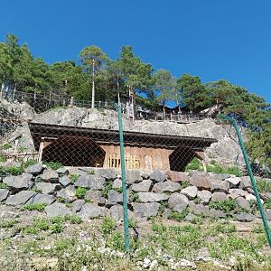 Der Weisser Zoo & Kameltheater Kernhof - Alpine ibex enclosure