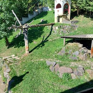 Der Weisser Zoo & Kameltheater Kernhof - Main tiger enclosure