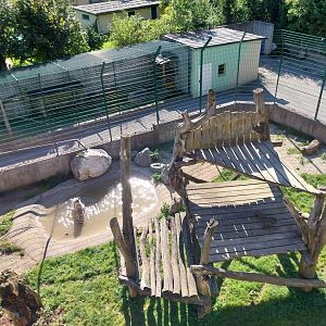 Der Weisser Zoo & Kameltheater Kernhof - Second tiger enclosure