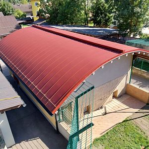 Der Weisser Zoo & Kameltheater Kernhof - Tiger holding 2