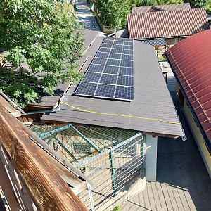 Der Weisser Zoo & Kameltheater Kernhof - Tiger holding 1