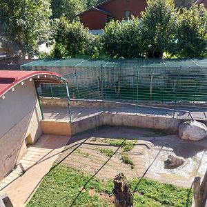 Der Weisser Zoo & Kameltheater Kernhof - Second tiger enclosure & quarantine area