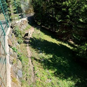 Der Weisser Zoo & Kameltheater Kernhof - Snow leopard enclosure