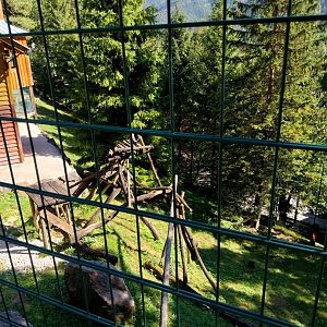 Der Weisser Zoo & Kameltheater Kernhof - Snow leopard enclosure