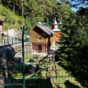 Der Weisser Zoo & Kameltheater Kernhof - Snow leopard enclosure