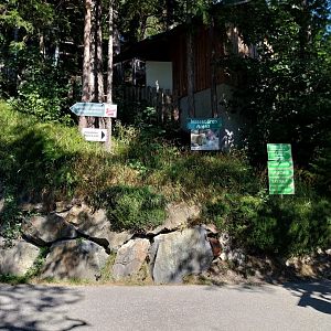 Der Weisser Zoo & Kameltheater Kernhof - General view