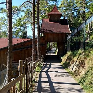 Der Weisser Zoo & Kameltheater Kernhof - Bärentheater