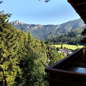 Der Weisser Zoo & Kameltheater Kernhof - General view