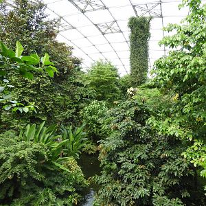 [2022] View in Gondwanaland