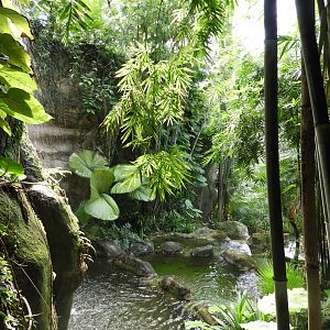 [2022] View in Gondwanaland