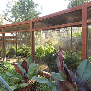 Asian Songbird Aviary
