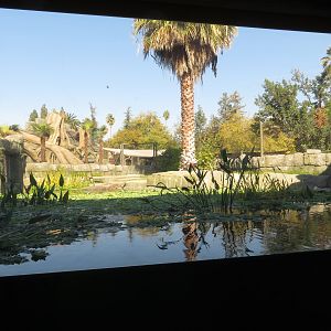 Tomistoma/Turtle Exhibit