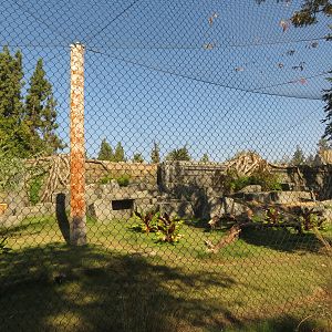 Malayan Tiger Exhibit