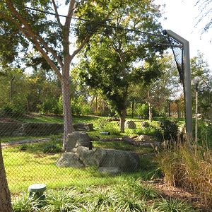 Sloth Bear/Otter Exhibit