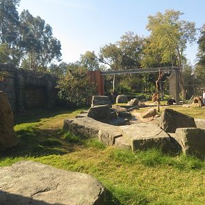 Sloth Bear/Otter Exhibit