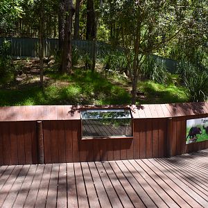 New Tasmanian Devil Enclosure