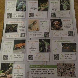 11 2023- Search map "Honderdduizend Dierenhuis" (1)