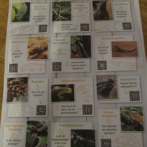 11 2023- Search map "Honderdduizend Dierenhuis" (2)