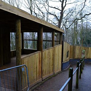 New bush dog enclosure viewing platform.